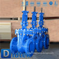 Didtek Waterous Gate Valve With Drawing